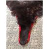 Image 4 : Bear Rug