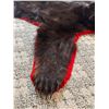 Image 5 : Bear Rug