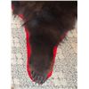 Image 8 : Bear Rug