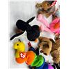 Image 3 : Beanie Babie Collection