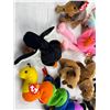 Image 4 : Beanie Babie Collection