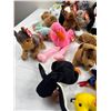Image 5 : Beanie Babie Collection