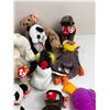 Image 8 : Beanie Babie Collection