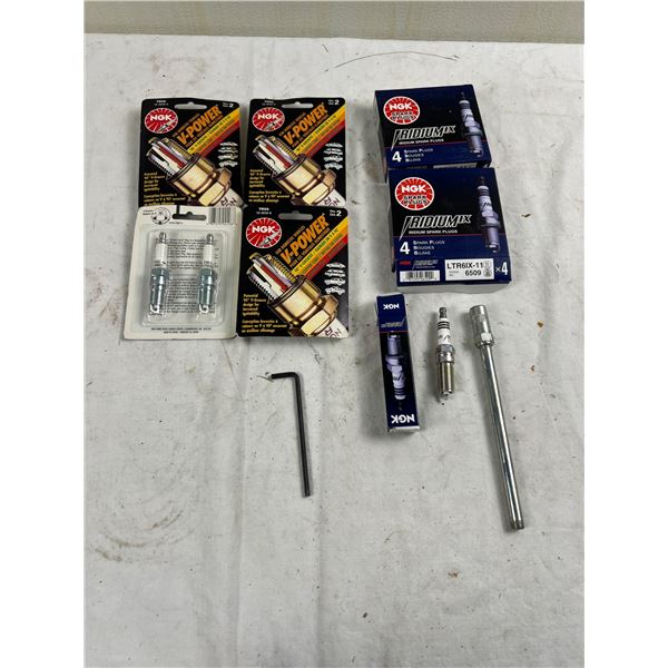 NGK Spark Plugs