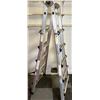 Image 1 : Lite Products Extension Ladder