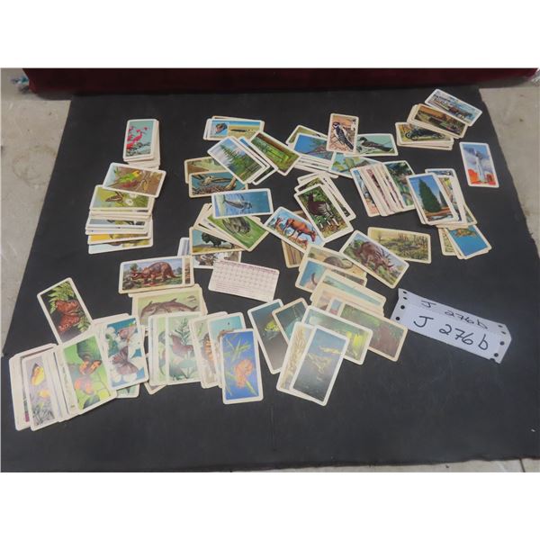 Red Rose Collector Cards: Birds, Dinosaurs, Butterflies, Animals
