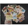 Image 7 : Red Rose Collector Cards: Birds, Dinosaurs, Butterflies, Animals