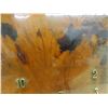 Image 4 : Vintage Burl Wood Slab Wall Clock 24" x 27", Missing Some Numbers & Framed Beveled Mirror 42" x 21"