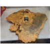 Image 6 : Vintage Burl Wood Slab Wall Clock 24" x 27", Missing Some Numbers & Framed Beveled Mirror 42" x 21"