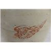 Image 3 : Red Wing 6 Gallon Stoneware Butter Churn With Lid Early 1900