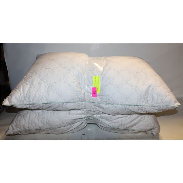 2PK MS GARDEN PILLOW QUEEN