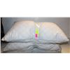 Image 1 : 2PK MS GARDEN PILLOW QUEEN