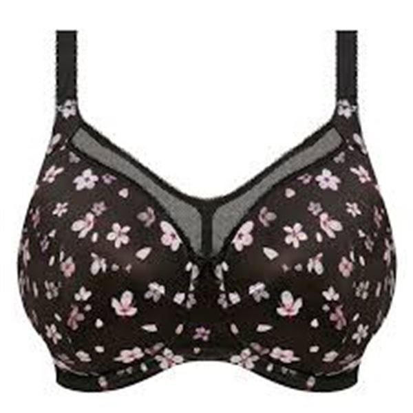 NEW GODDESS KAYLA 36N BRA