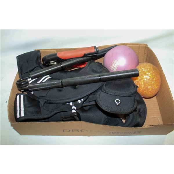 FLAT OF FITNESS ITEMS