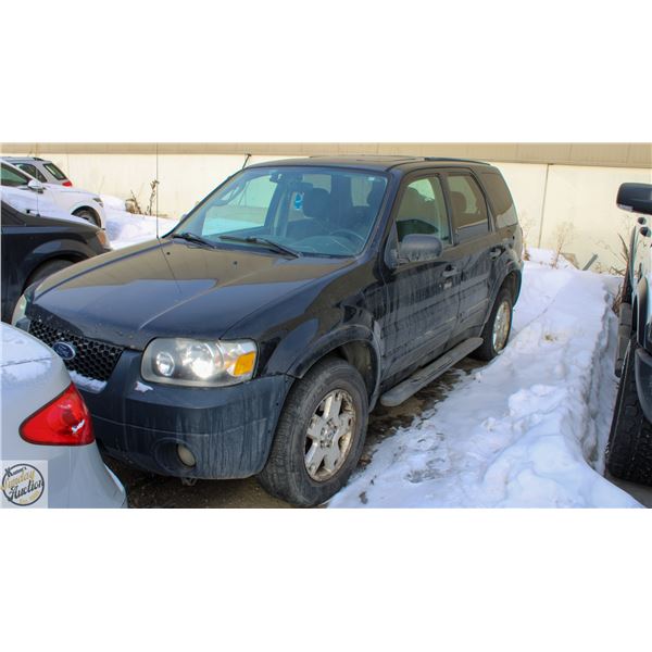 TOW YARD SEIZURE: 2007 FORD ESCAPE