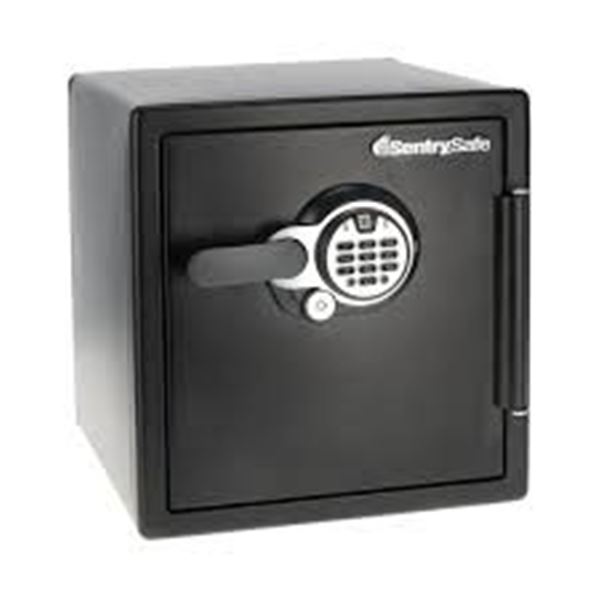 NEW SENTRYSAFE BIOMETRIC XL FINGERPRINT 1.23CU FT