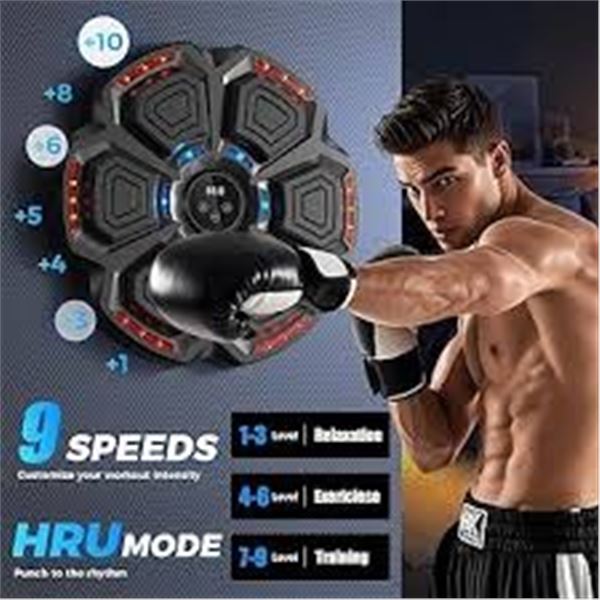 NEW LOLBOX MUSIC BOXING MACHINE WITH GLOVES