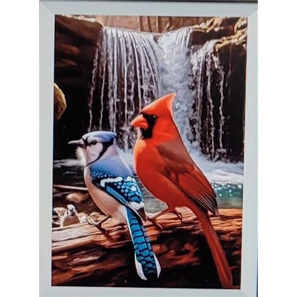 28)  BLUE JAY AND CARDINAL DIAMOND