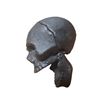 Image 2 : Cast iron skull with hinged jaw 4"
