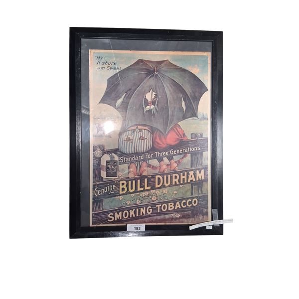 Framed vintage Bull Durham tobacco cardboard sign 31"x22"