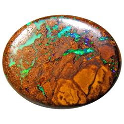 16.15ct Yowah Nut Boulder Opal Matrix (GEM-8377)