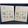 Image 1 : Lot of 2 OSULLOC Lovely Tea Gift Box Sets; Premium Korean Tea Sampler Sets - New!