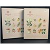 Image 1 : Lot of 2 OSULLOC Lovely Tea Gift Box Sets; Premium Korean Tea Sampler Sets - New!