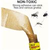 Image 10 : 2 Packs (16PCS Each) Sticky Fly Ribbon Traps - For Flies, Mosquitoes, Fruit Flies, etc - New