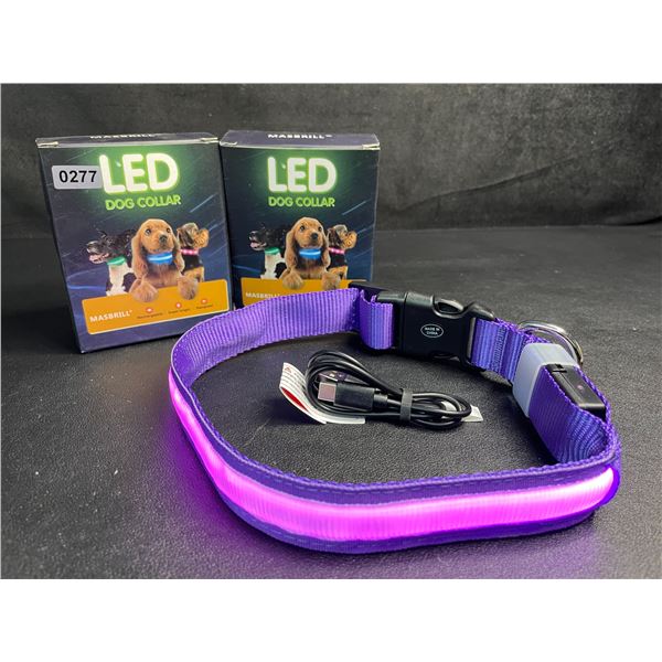 2 Masbrill LED Light-Up Dog Collars - Rechargeable/Rainproof Super-Bright Design (Size M - Purple)