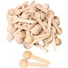 Image 1 : 2 Boxes (50PCS Each) Mini Wooden Kitchen Seasoning Spoons - New