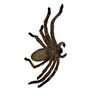 Image 2 : Arachnophobia (1990) - Prop Spider