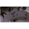 Image 3 : Arachnophobia (1990) - Prop Spider