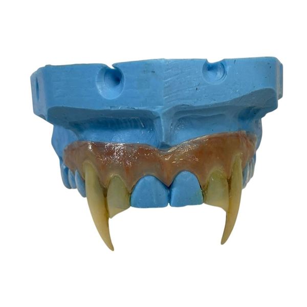 Dark Shadows (2012) - Barnabas Collins (Johnny Depp) Fangs Appliance