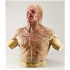 Image 9 : Friday the 13th (2009) - Jason Voorhees Hockey Bust/Mask from Original Production Mold