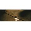 Image 4 : Cowboys & Aliens (2011) - Set of 4 Prop Poker Chips And Metal Prop