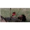 Image 5 : Dances with Wolves (1990) - Arrow with Hand Painted Fletching