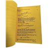 Image 5 : The Rocketeer (1991) - Original Script (From Joel Silver)