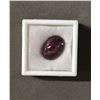 Image 2 : 28.5CT OVAL CABOCHON CUT NATURAL RUBY: 13.6 MM X 19.5 MM