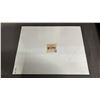 Image 2 : WEST COAST AUTHENTIC FOREST GRIFFIN SIGNED PHOTOGRAPH #23533 20" X 16"