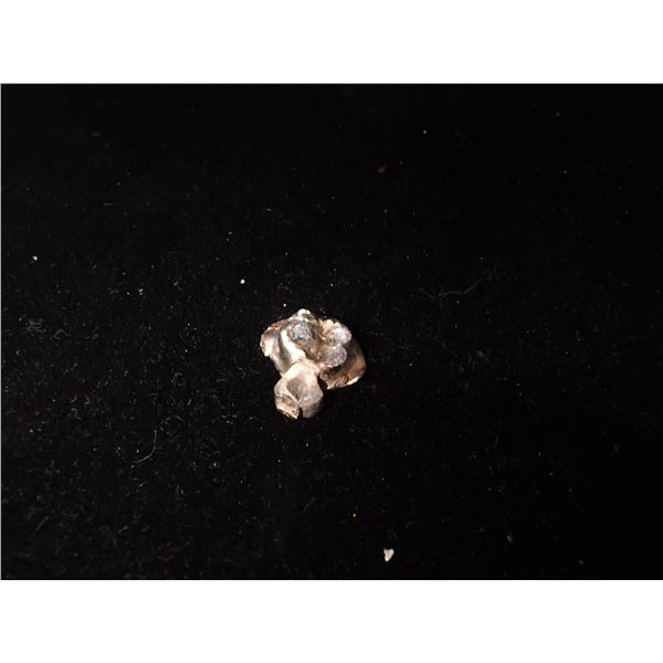 GOLD CROWN (5.3G)