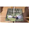 Image 3 : A BOX OF ASSORTED CD'S AND A BOX OF THE GREEN ROOM CD'S