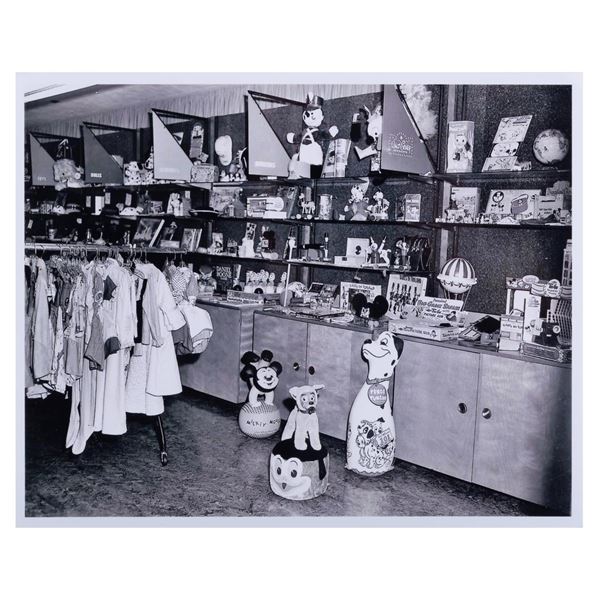 A Disney Consumer Product Display Reference Photo.