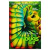 Image 1 : A Pair of "A Bug's Life" One-Sheet Posters.