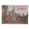 Image 6 : A Collection of Disneyland Postcards and Postcard Books.