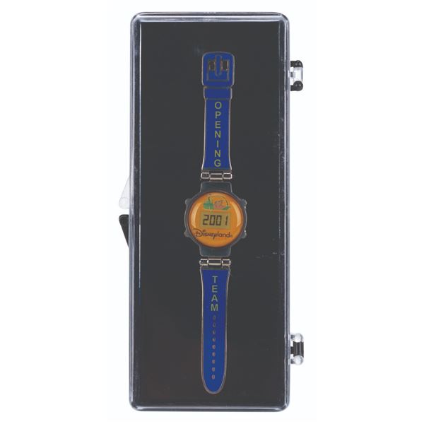 A Cast-Exclusive Countdown Watch One Year Anniversary Pin.