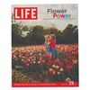 Image 1 : A Disneyland Turns 50 LIFE Magazine.