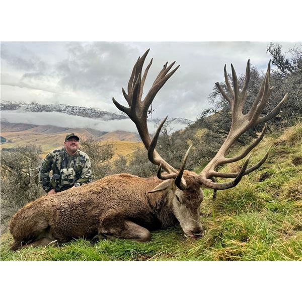 New Zealand Hunting Adventures  Red Stag Hunt -  for 2 Hunter 2 Observer 5 Days