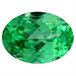 9.14ct Natural Deep Green Kunzite Pakistan VVS Appraisal Estimate $1105 (GEM-17278)