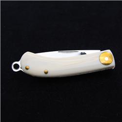 Ivory Stainless Pen Knife  (CLB-415)