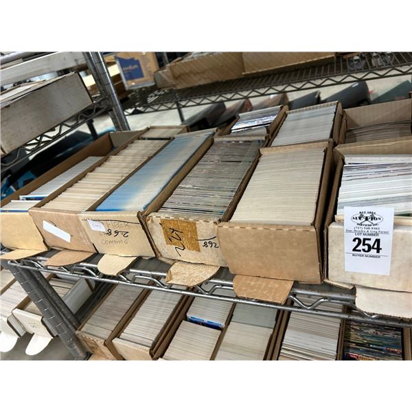 Shelf of Sports Trading Cards